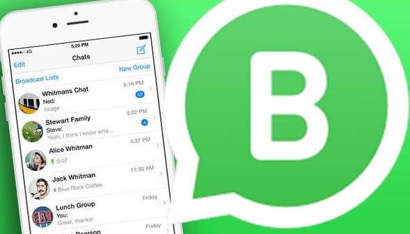 Configurando o Whatsapp business no iPhone
