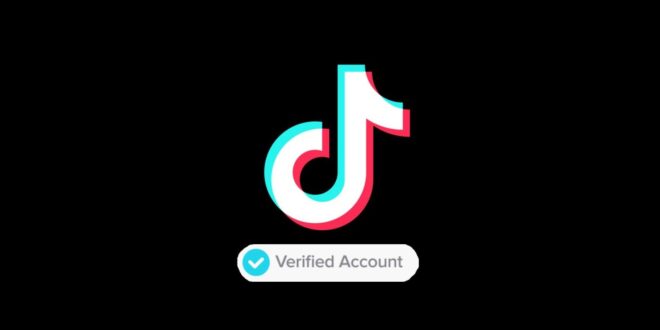 Como ter conta verificada no TikTok: O Passo a passo para 2021