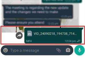 Como enviar video longo no WhatsApp? [2023]